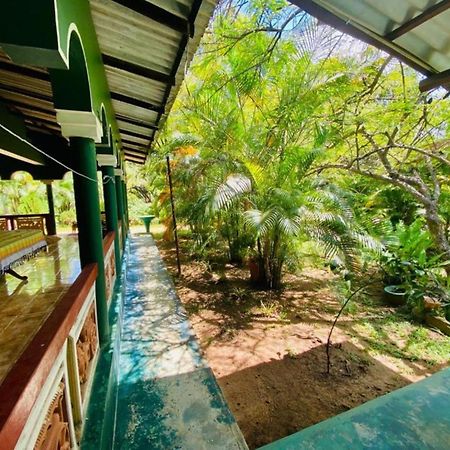 Rock Lake Home Stay Sigiriya Exteriér fotografie