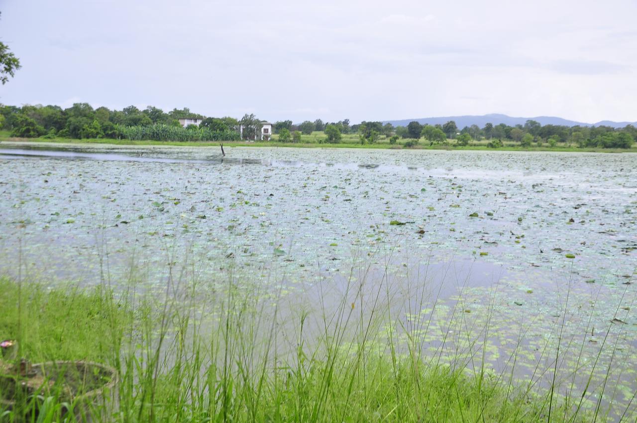 Rock Lake Home Stay Sigiriya Exteriér fotografie