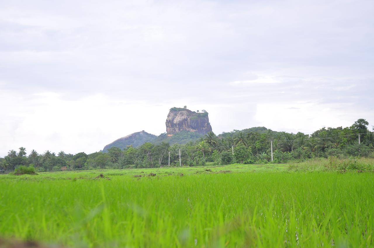 Rock Lake Home Stay Sigiriya Exteriér fotografie