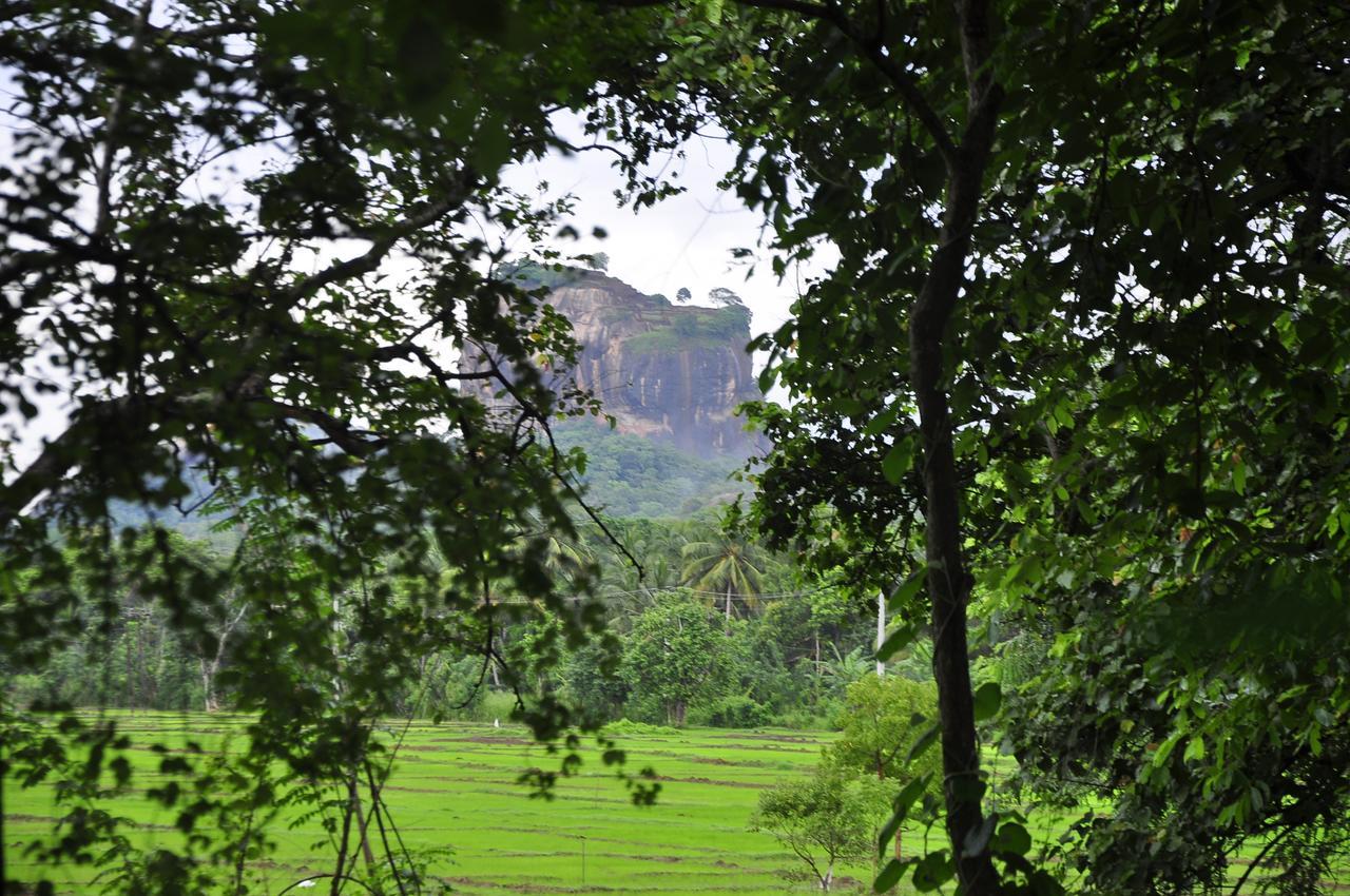 Rock Lake Home Stay Sigiriya Exteriér fotografie