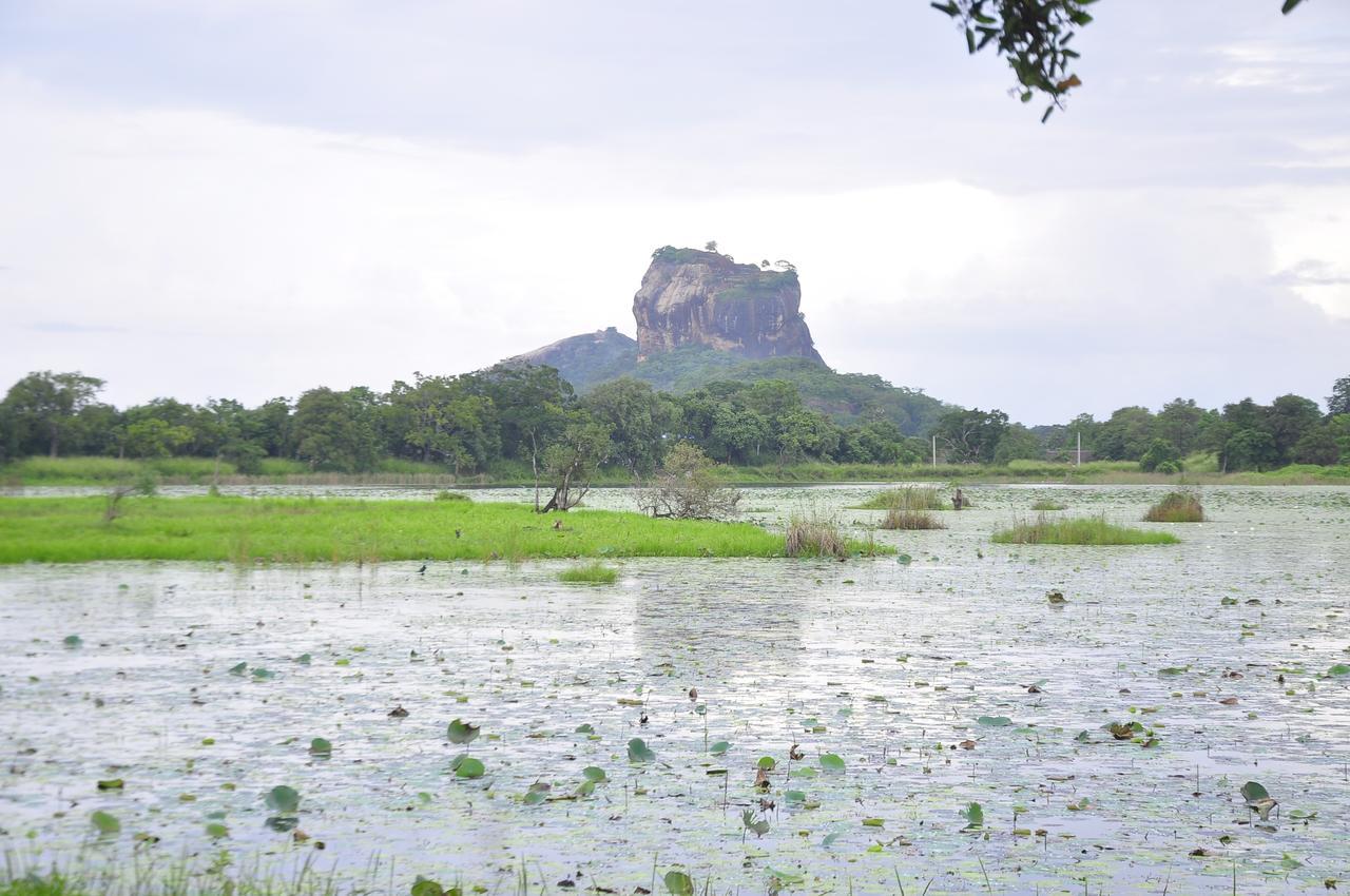 Rock Lake Home Stay Sigiriya Exteriér fotografie
