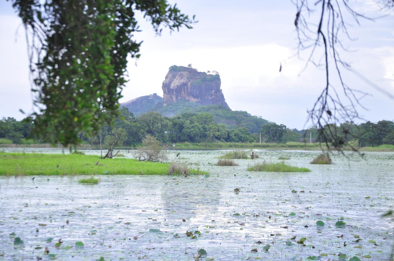 Rock Lake Home Stay Sigiriya Exteriér fotografie