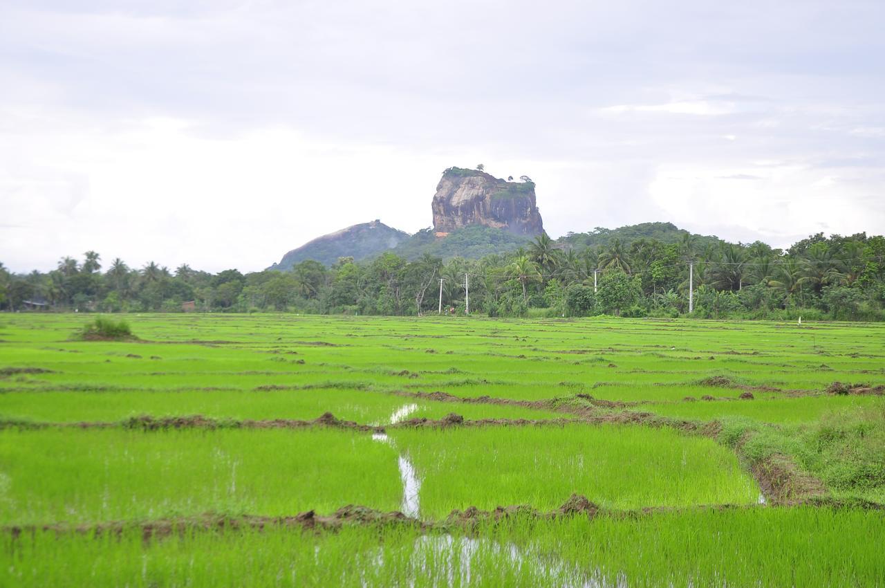 Rock Lake Home Stay Sigiriya Exteriér fotografie